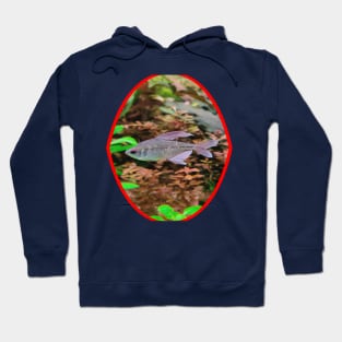 fish, cute fish, fish colorful, fish coral, beatiful fish Hoodie